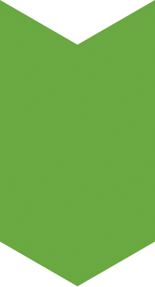 Imagen figura verde 3